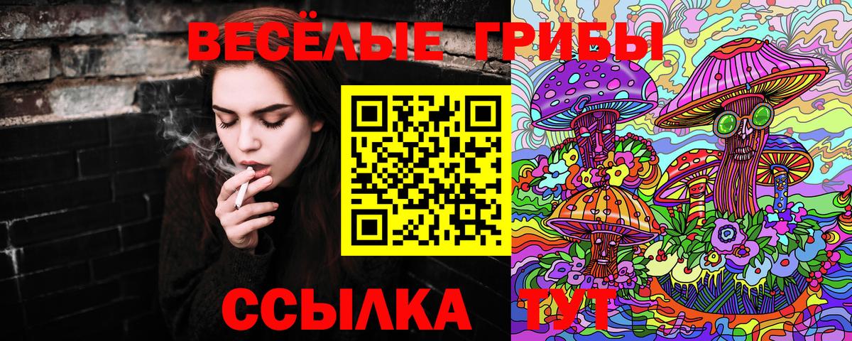 Псилоцибиновые грибы Psilocybine cubensis  Вход с VPN  Галлюциногенные грибы GOLDEN TEACHER  Нововоронеж 